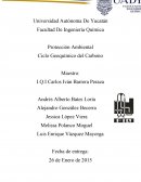 Ciclo Geoquímico del Carbono