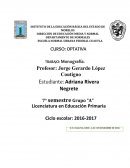 ESTRATEGIAS PARA LA LECTOESCRITURA