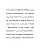 Reflexion de la funcion del maestro