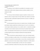 PLAN DE MERCADEO Y PRODUCCIÓN.