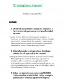 El transgénico tropieza