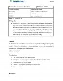 Seis Sigma. ¿Para qué fue creado?