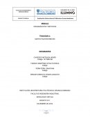 ORGANIZACION Y METODOS. EMPRESA Y PRODUCTOS