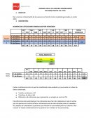 INFORME ANUAL DE ASESORES INMOBILIARIOS