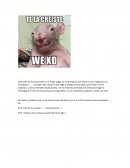 Entender la brecha de la ejecución.