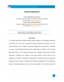 Analisis industrial. La estrategia empresarial