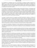 EVALUACIÓN DE LA PRÁCTICA DE RECLUTAMIENTO SOBRE EL DESEMPEÑO DE LA ORGANIZACIÓN.