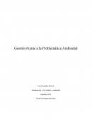 Gestión Frente a la Problemática Ambiental