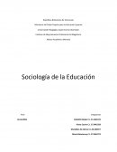 Sociologia de la educacion. Pedagogía Social