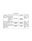 CUADRO ANALÍTICO. A la entrevista paciente refiere ‘’siento mucho dolor en la garganta’’