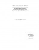 Ensayo sobre la comunicacion humana