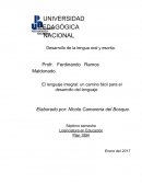 Desarrollo de la competencia lectora y escritora. En el presente ensayo se pretende analizar la propia práctica docente