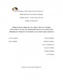 Proyecto de produccion de cilantro y cebollin