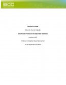 Sistemas de Protección de Seguridad Industrial. PROYECTO FINAL