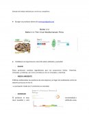 COCAMIDOPROPYL BETAINE