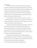 Ensayo el grito silencioso