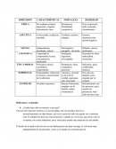 ¿Cuáles son los principales cambios o novedades que trajo esta Nueva Constitución según los autores de las notas de prensa?
