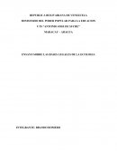 ENSAYO SOBRE LA ECOLOGIA Y SUS BASES LEGALES EN VENEZUELA EN LA DECADA DEL 2000