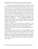 Comentario sobre el análisis de la cultura organizacional de google.