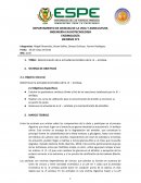 Determinación de la actividad enzimática de la α – amilasa.