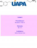 TAREA PSI. GENERAL. NEUROPSICOLOGÍA
