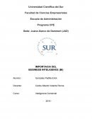 IMPORTACIA DEL BUSINESS INTELIGENCE