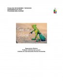 Caso, Buscando nuevos horizontes