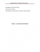 DIPLOMADO EN LA GESTION DE LA CALIDAD Y PRODUCTIVIDAD. PLANIFICACIÓN ESTRATÉGICA