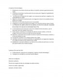 Globalización y los efectos de esta que afecta a la tradición culinaria y gastronómica de la región.