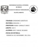 Síndromes Genéticos Por: Ricardo Ruiz Vargas