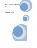 Caso lácteos Alborotada S.A