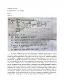 Flujos de energía en parques urbanos.