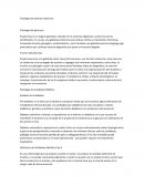 Fisiologia del sistema endocrino Fisiología del páncreas