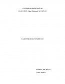 LA IDENTIDAD DEL VENEZOLANO