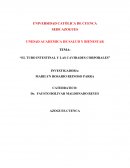 El tubo intestinal y las cavidades corporales