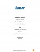 Componentes Plan publicitario