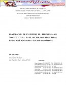 ELABORACIÓN DE UN HUERTO DE “BERENJENA, AJÍ, TOMATE Y YUCA EN EL SECTOR JOSÉ FÉLIX RIBAS, EN SAN JOSÉ DE GUANIPA – ESTADO ANZOÁTEGUI.