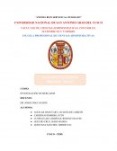 Investigación de mercados. BOGA E.I.R.L DE JARED DELGADO