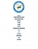 METODOLOGIA DE LA INVESTIGACION . Los accidentes motorizados.