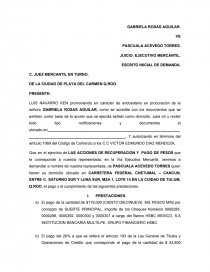 GABRIELA ROSAS AGUILAR EJECUTIVO MERCANTIL 2015 CORREGIDA.. Página 1