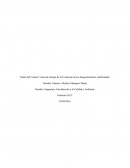 Línea de tiempo de la Evolución de los Requerimientos Ambientales