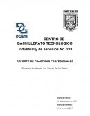 REPORTE DE PRÁCTICAS PROFESIONALES