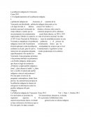La poblacion indigena de venezuela.