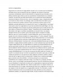 Contra la cirugía plástica
