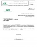 En su caso, carta poder donde se designa al representante para todo trámite ante CFE.