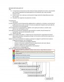 RESUMEN METODOLOGÍA AST. Procedimiento