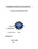 Tipos de cambios flexibles.