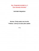 Integradora de alumno Diciembre 2016