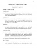 EMPRENDIMIENTO Y GESTION INTRODUCCION-CAFÉ DE HABA