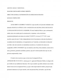 DIRECTOR GENERAL DE PROMOCIÓN EN DERECHOS HUMANOS. Página 1